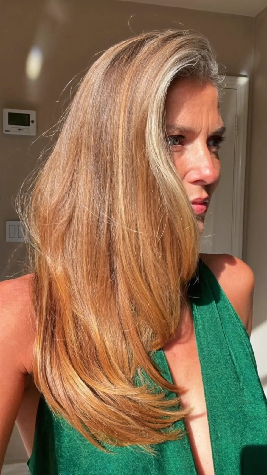 Classic Long Layered Hair with Soft Honey Blonde Balayage