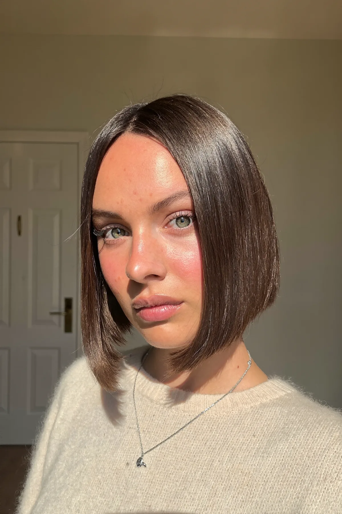 Sleek Chin-Length Bob in Natural Brunette Solid Color