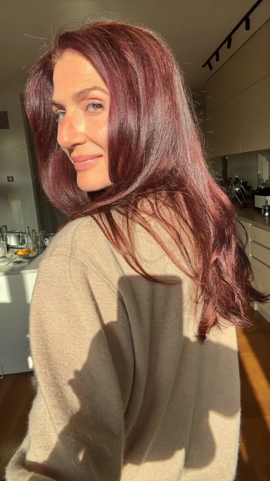 Elegant Long Layers with Rich Burgundy Brown Color