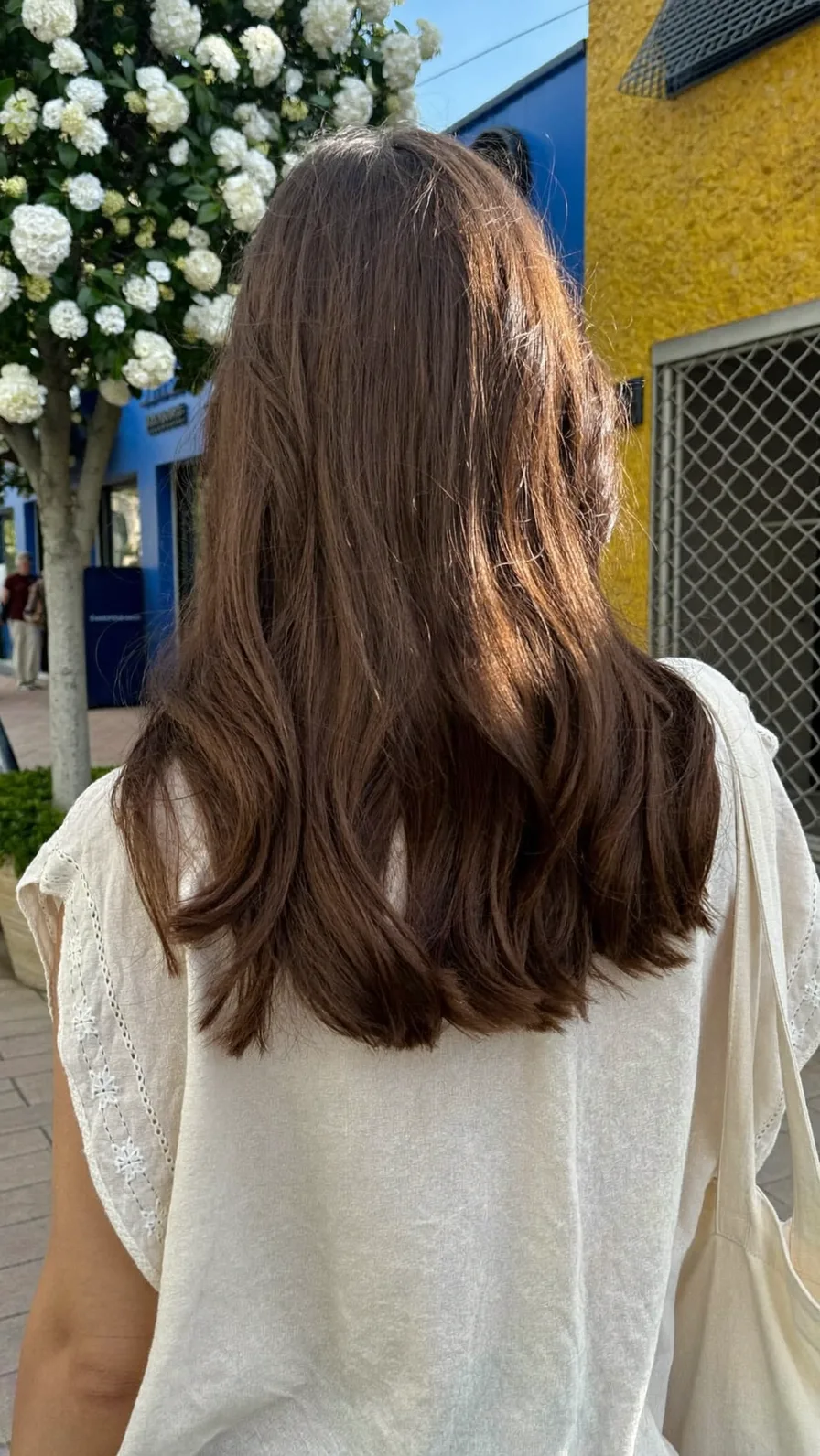 Natural Medium-Length Chestnut Brown Hair with Long Layers