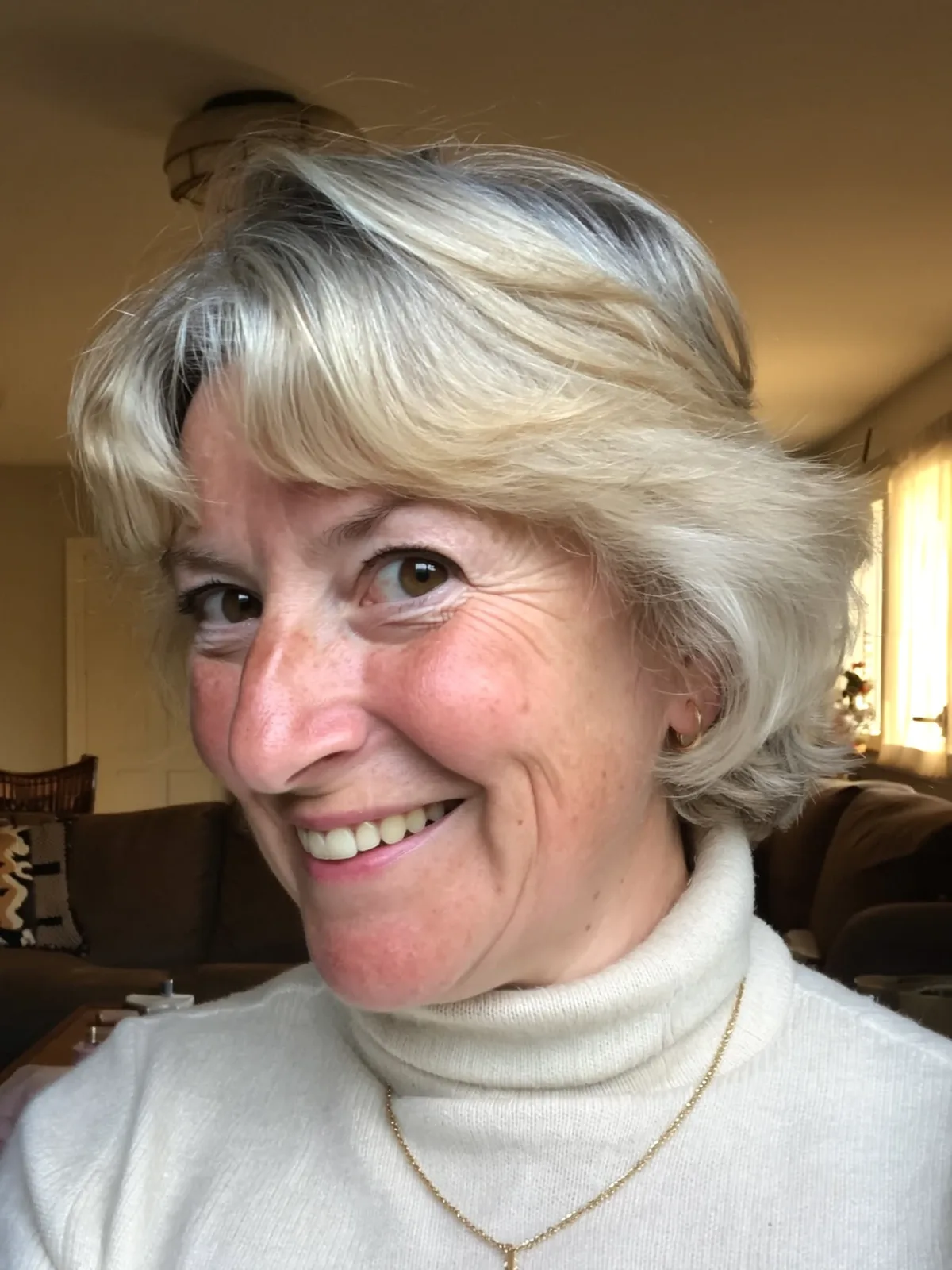 Chin-Length Feathered Style with Silver Frost Sheen