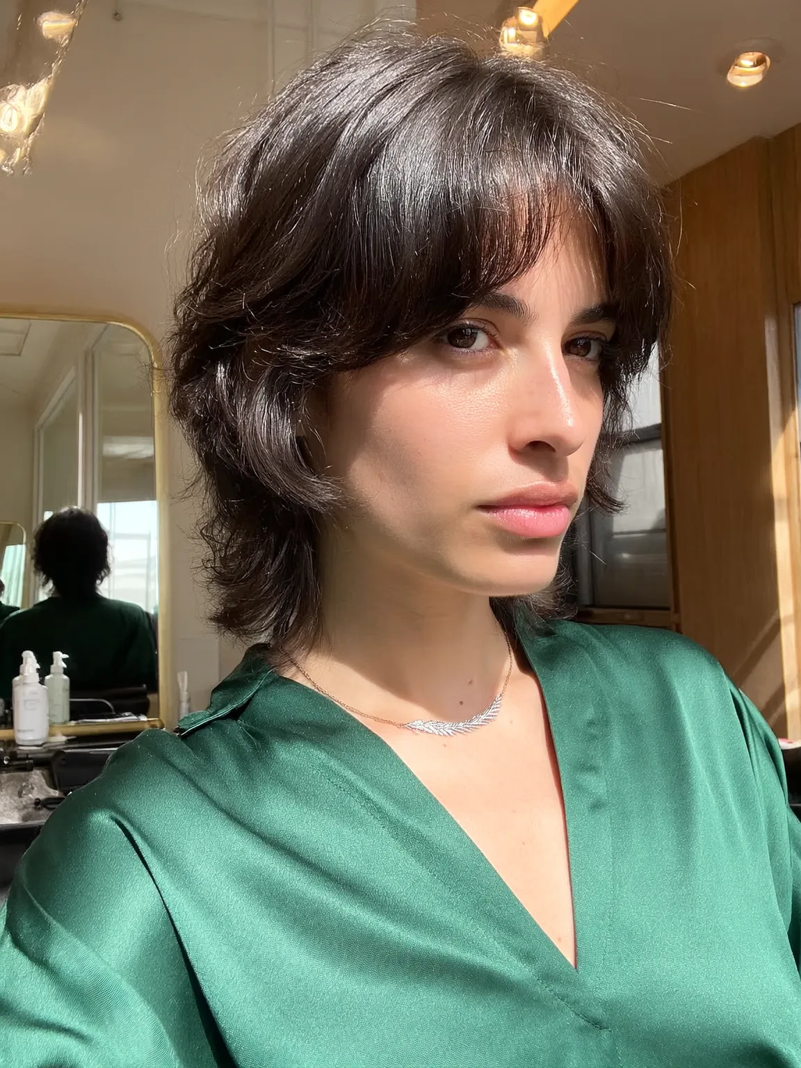 Short Wavy Shag with Rich Chocolate Texture