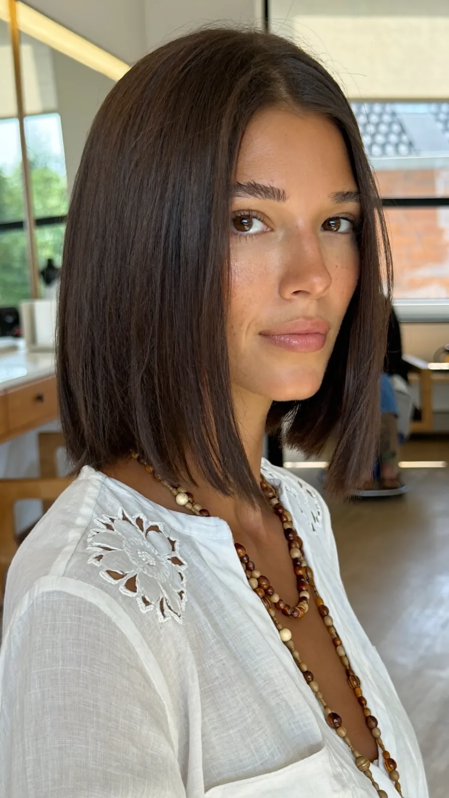 Sleek Chin-Length Dark Brown Blunt Bob with Side Part