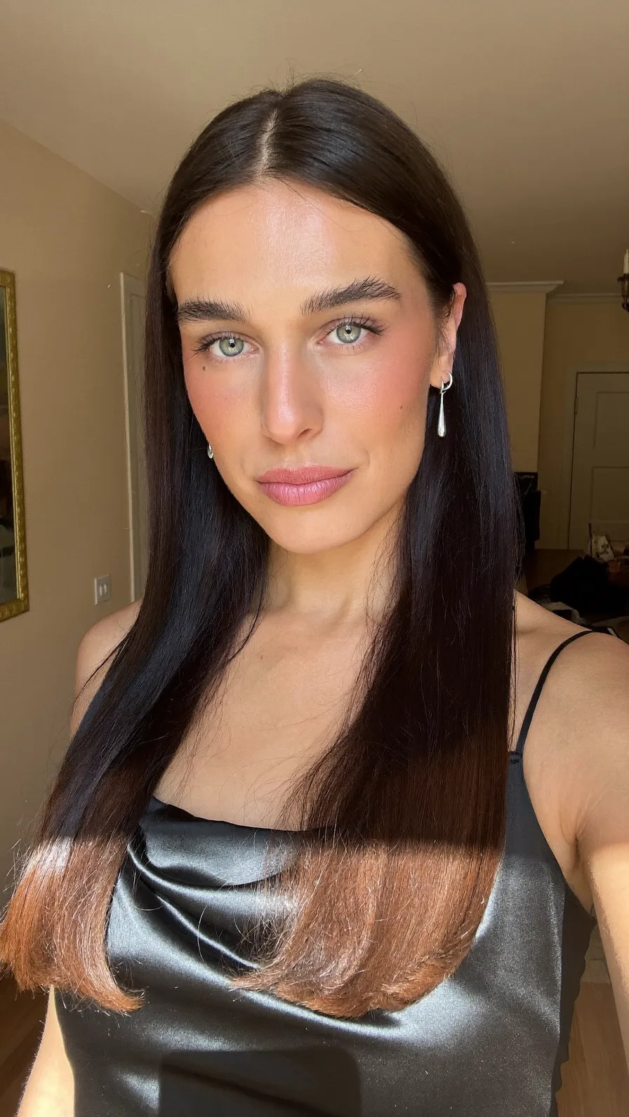 Sleek Long Layered Hair with Warm Brown Ombre Ends