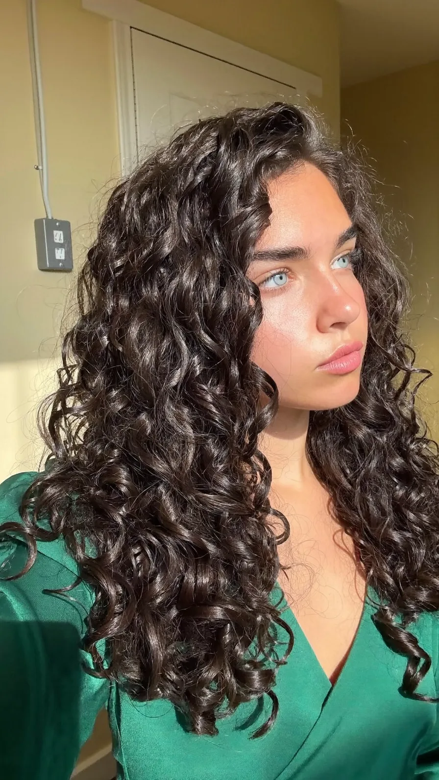 Long Voluminous Dark Brown Curly Hair with Natural Layers