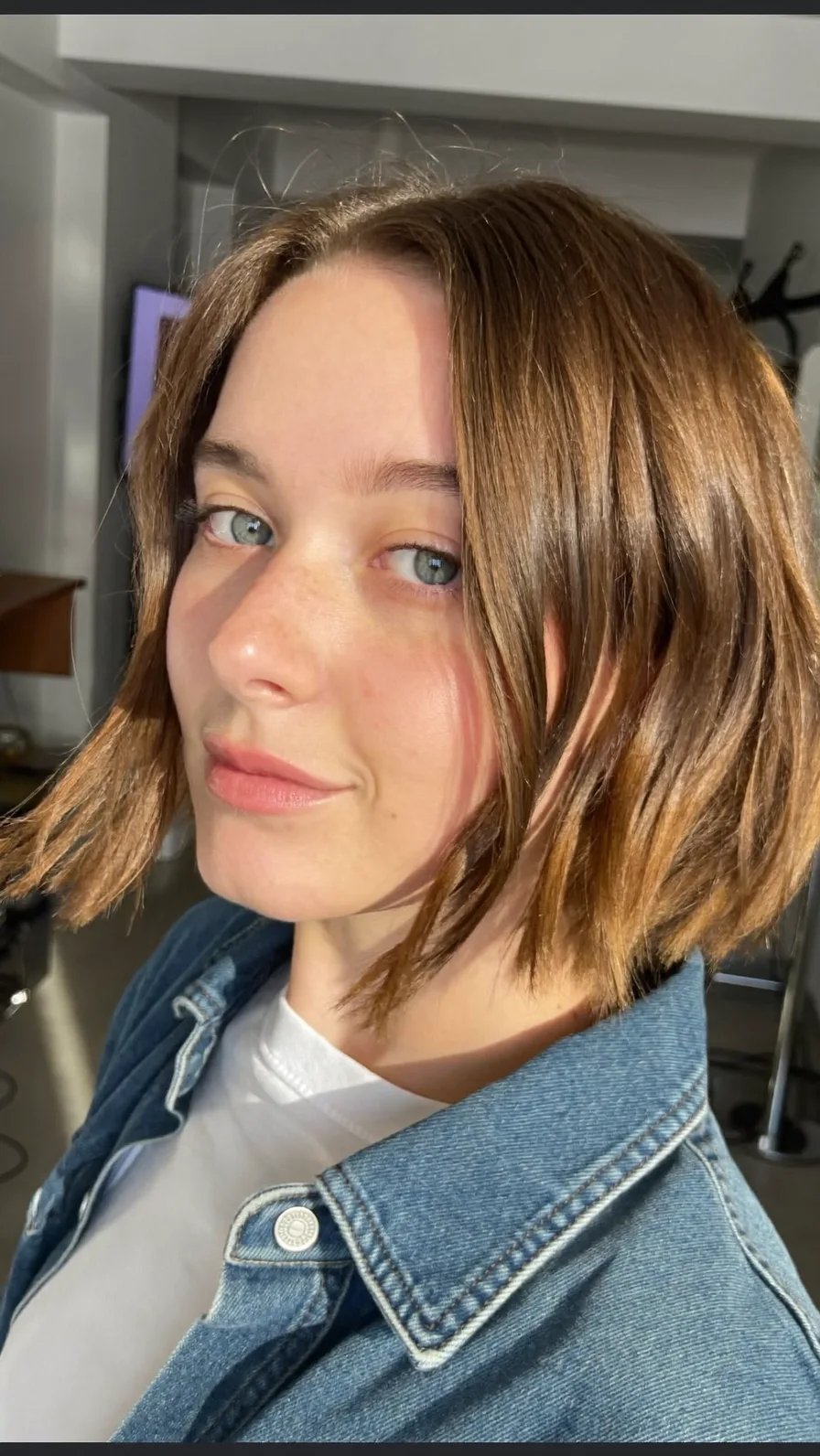 Chic Blunt Chic Chin-Length Brown Bob Hairstyle
