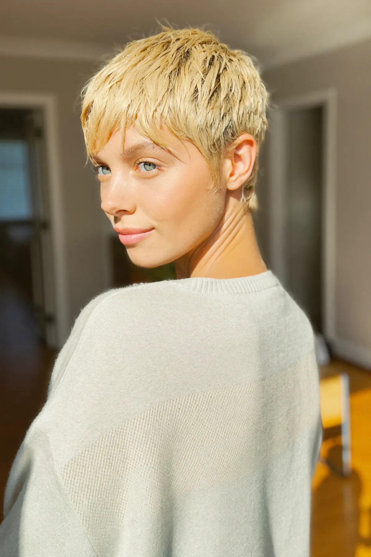 Sleek Straight Honey Golden Blonde Solid Pixie Cut Perfection