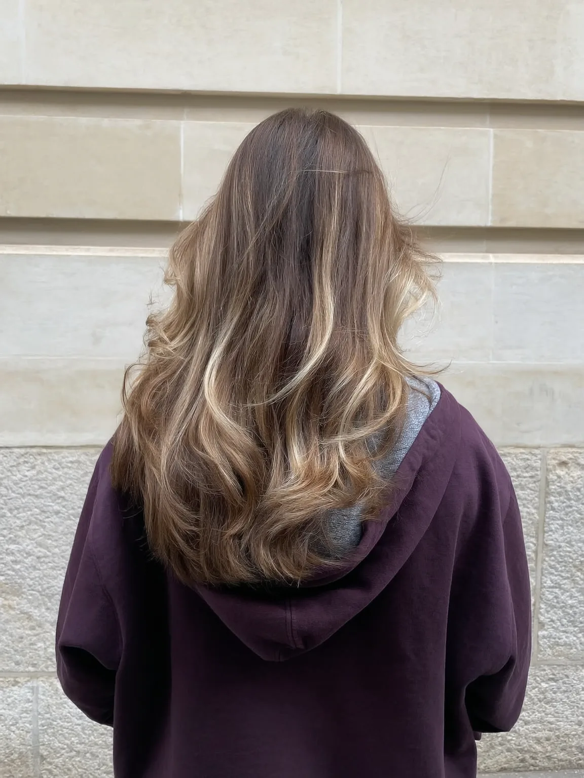 cinnamon brown with honey blonde highlights layered