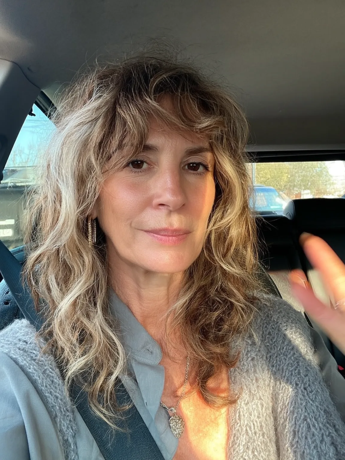 Medium Shag Cut with Honey Blonde Highlights