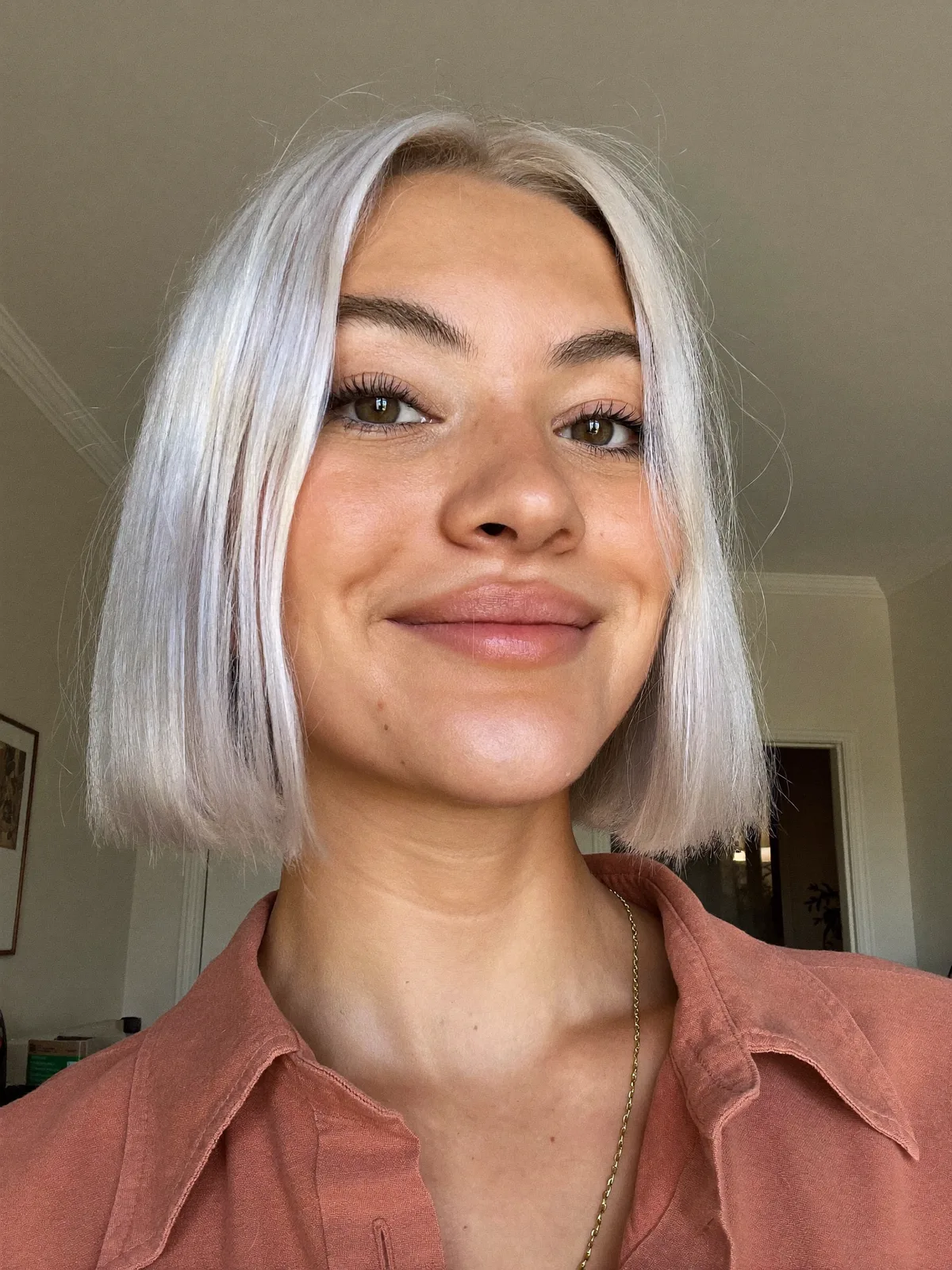 Sleek Icy Blunt Bob With Jaw-Length Precision and Cool Silver Tones