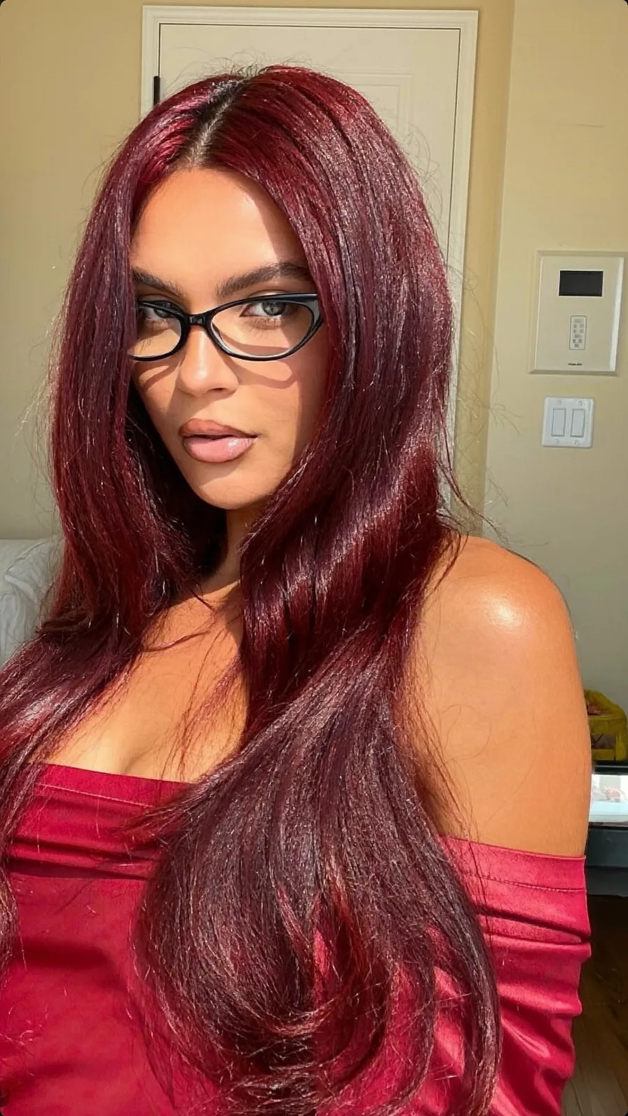 Sleek Deep Burgundy Long Layers with Center Part