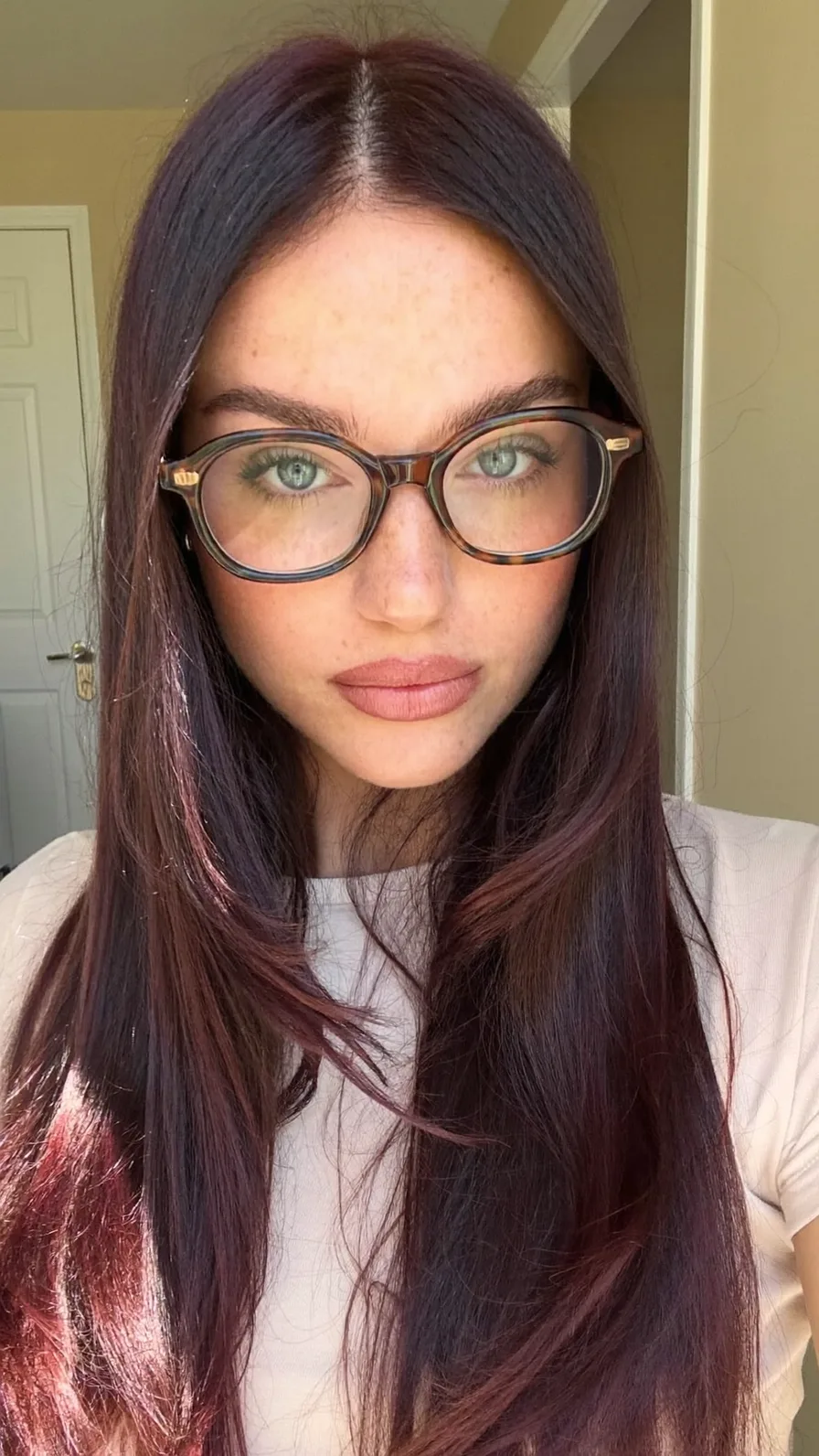 Sleek Deep Burgundy Long Layered Hairstyle with Center Parting