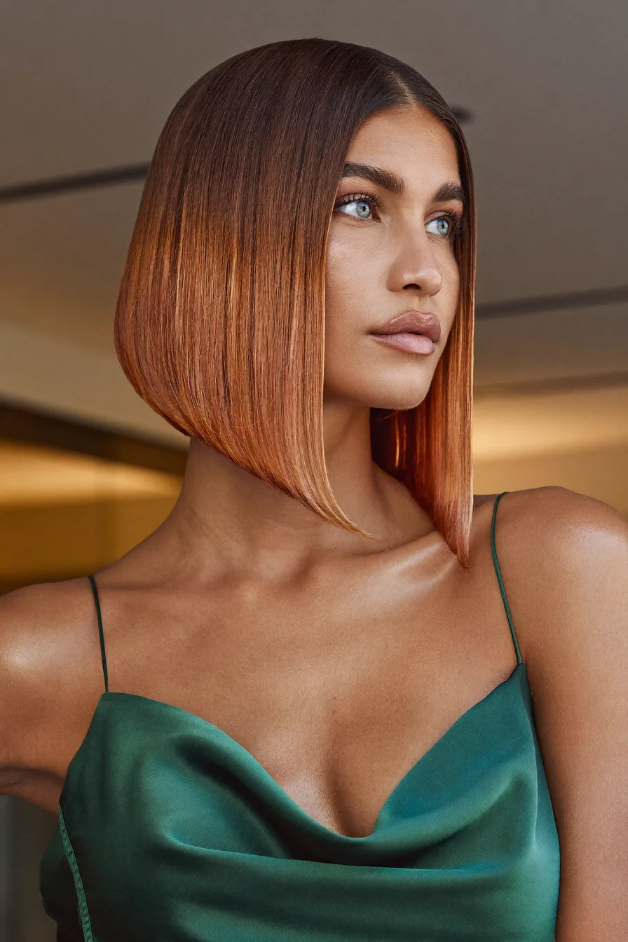 Sleek Chin-Length Blunt Angled Ombre Bob Hairstyle