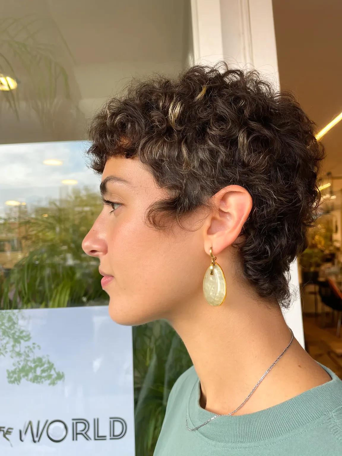 Rich Espresso Pixie with Golden Highlights and Micro-Bangs