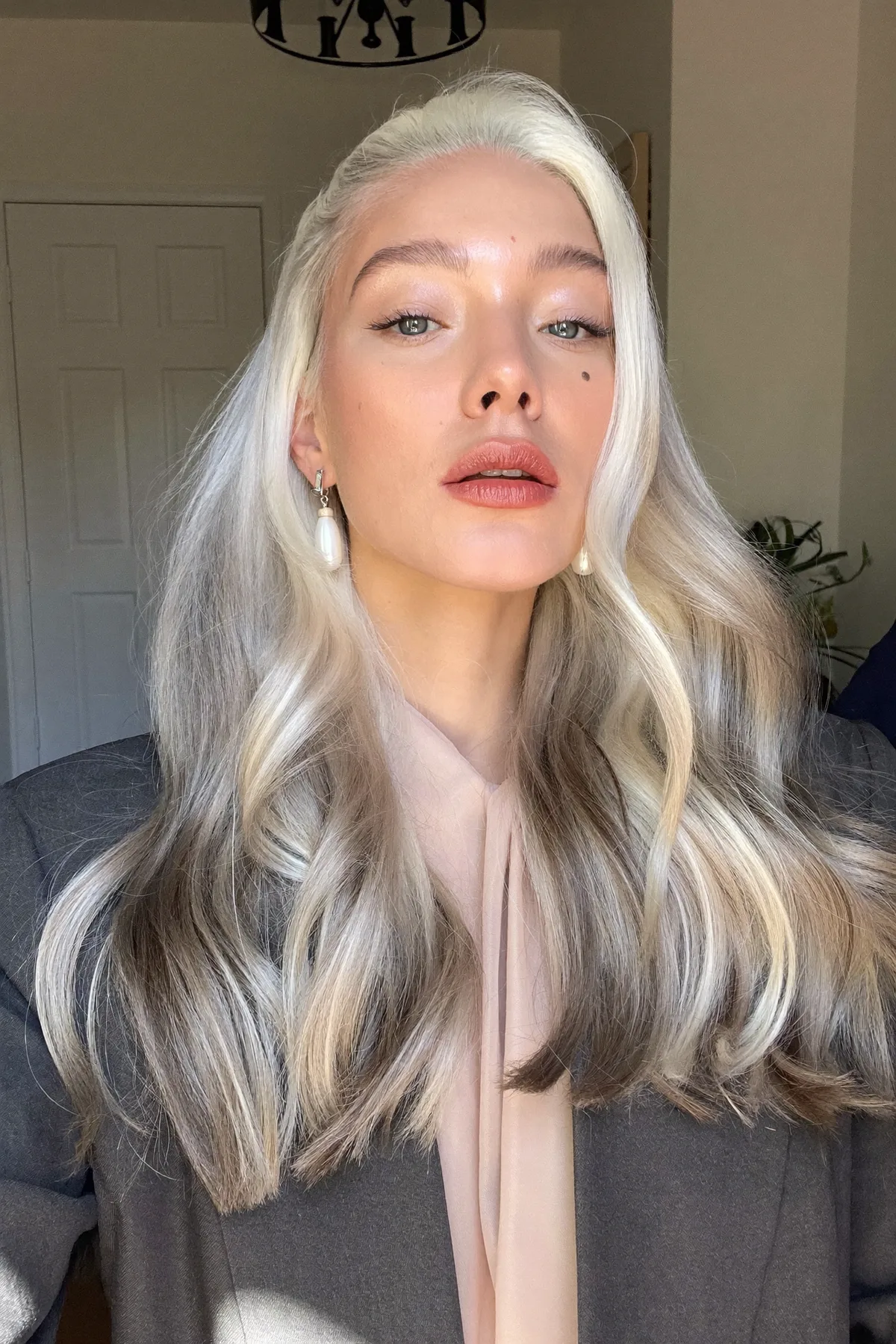 Elegant Silver Fox Long Layers with Soft Voluminous Waves