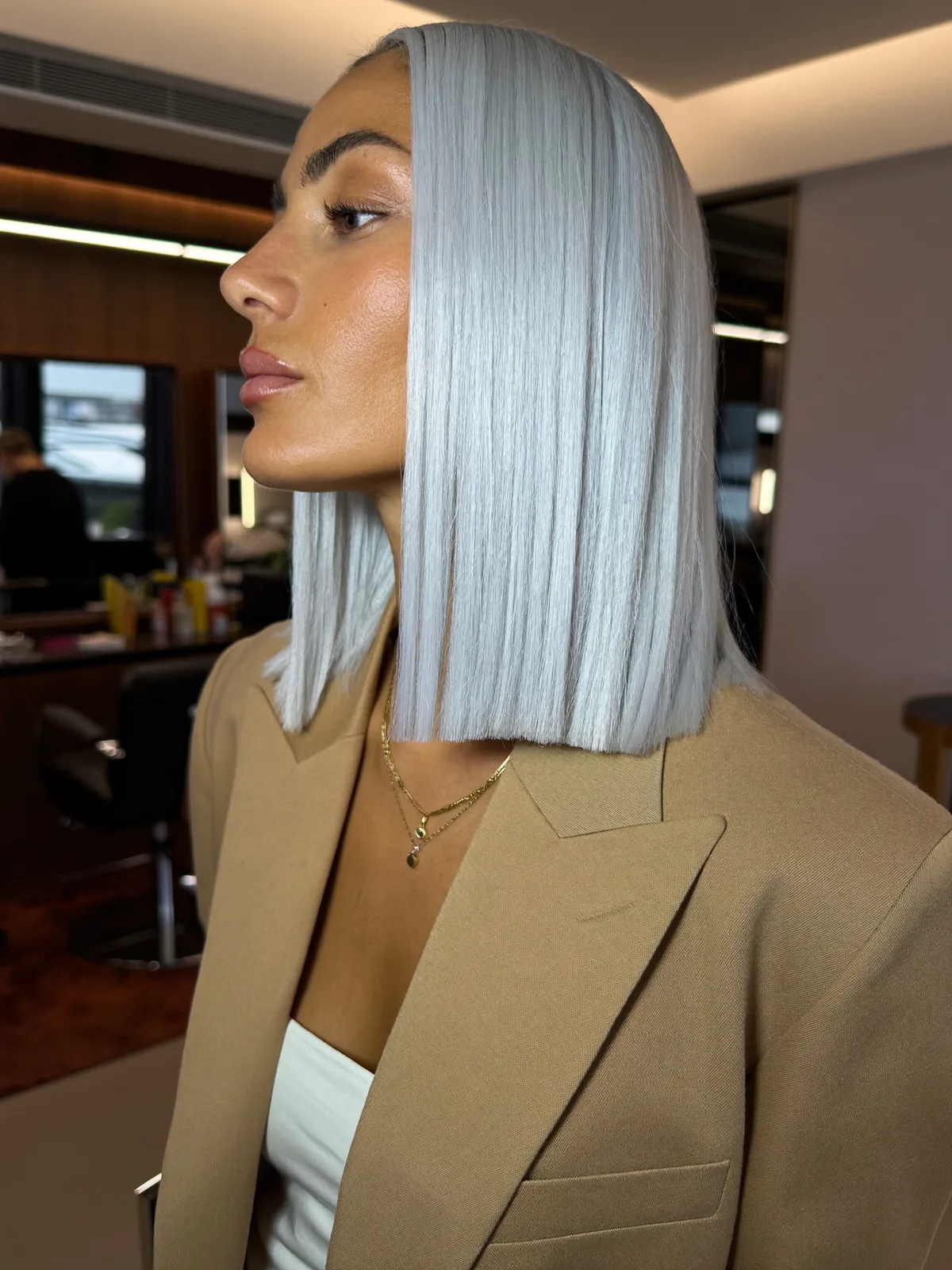 Sleek Silver Frost Blunt Bob with Center Part Precision
