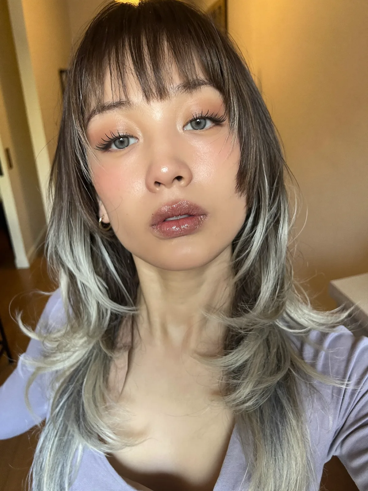 Silver Frost Long Shag with Wispy Fringe and Soft Layers