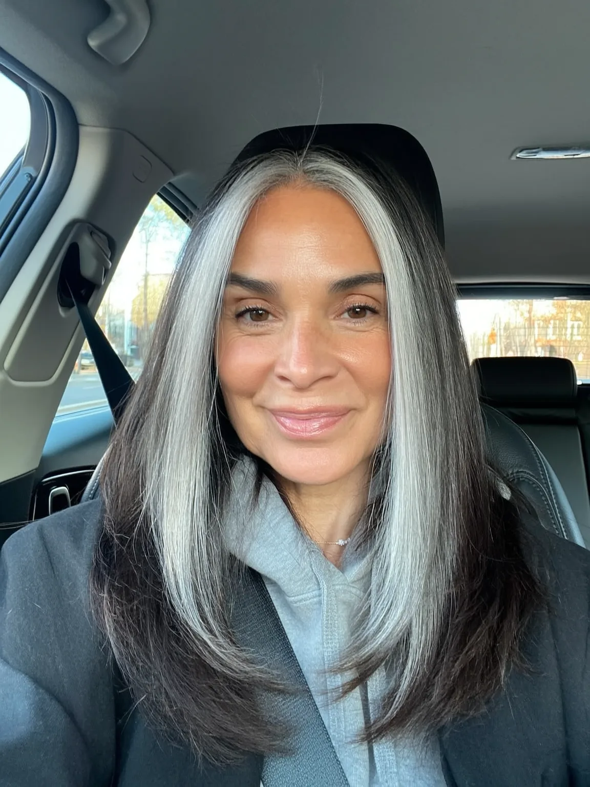 Long Straight Silver Frost with Charcoal Undertones